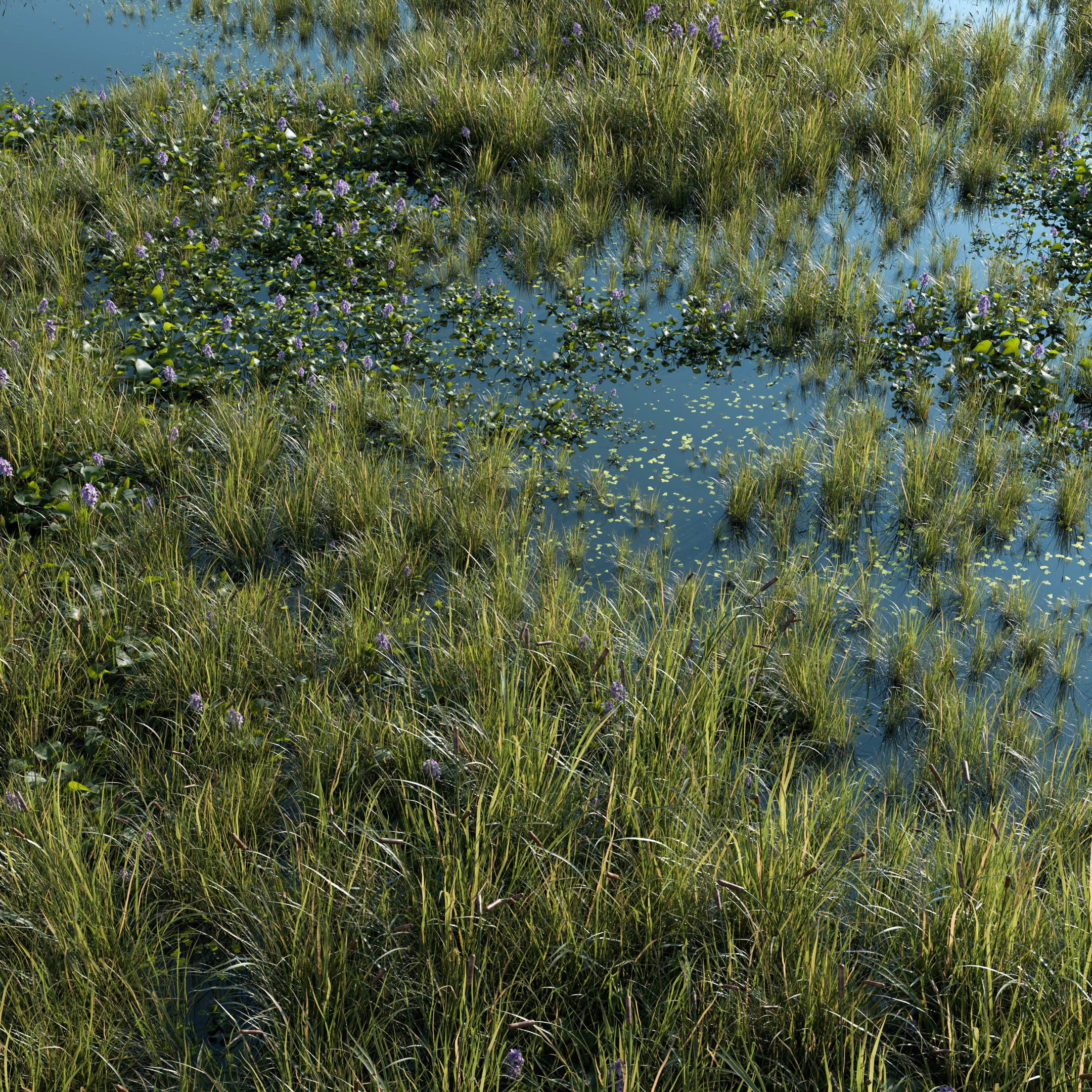 Wasteland